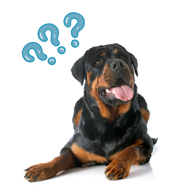 ketonadogtreats KetoNatural Pet Foods